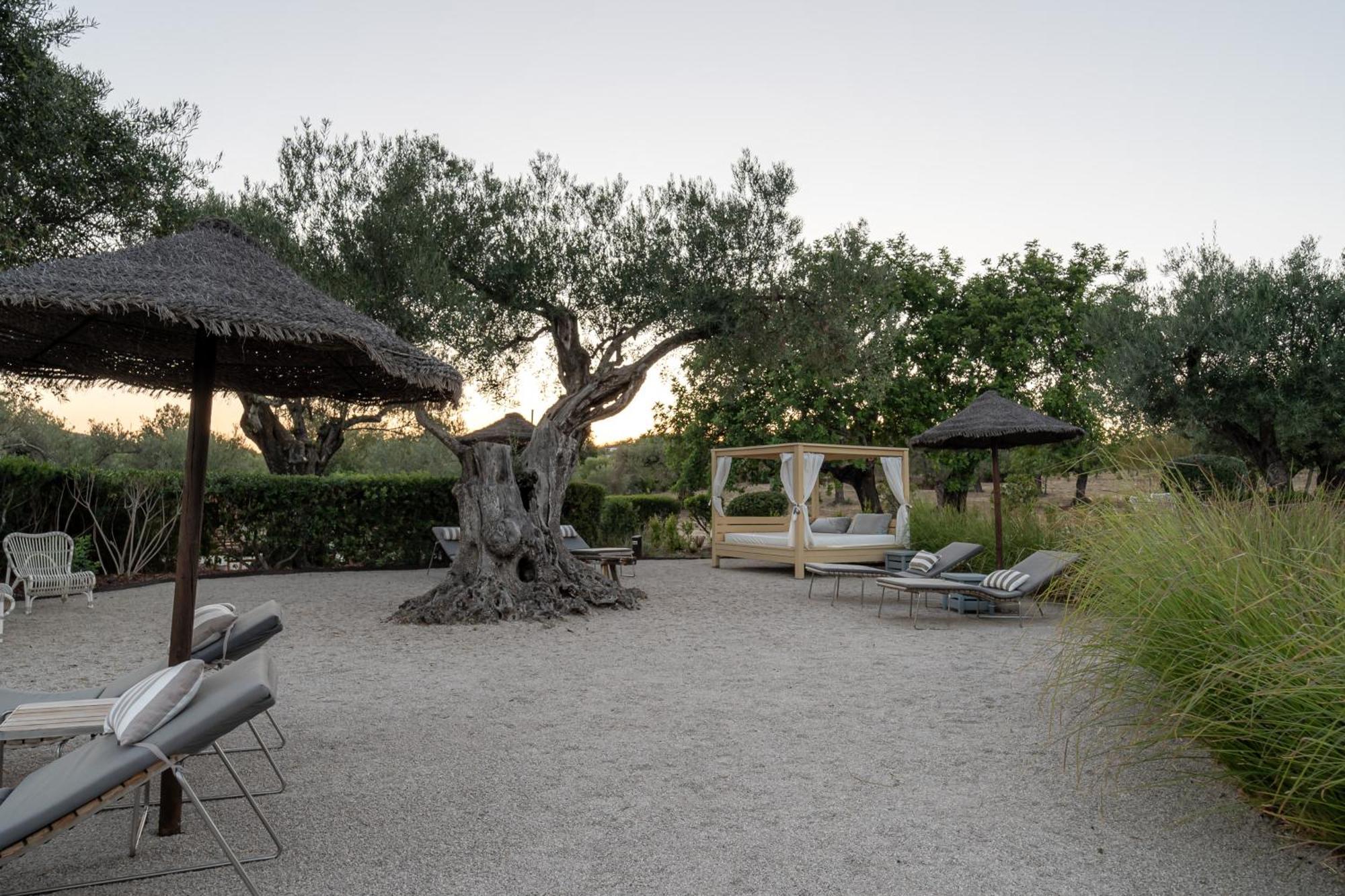 טאווירה Fazenda Nova Country House מראה חיצוני תמונה