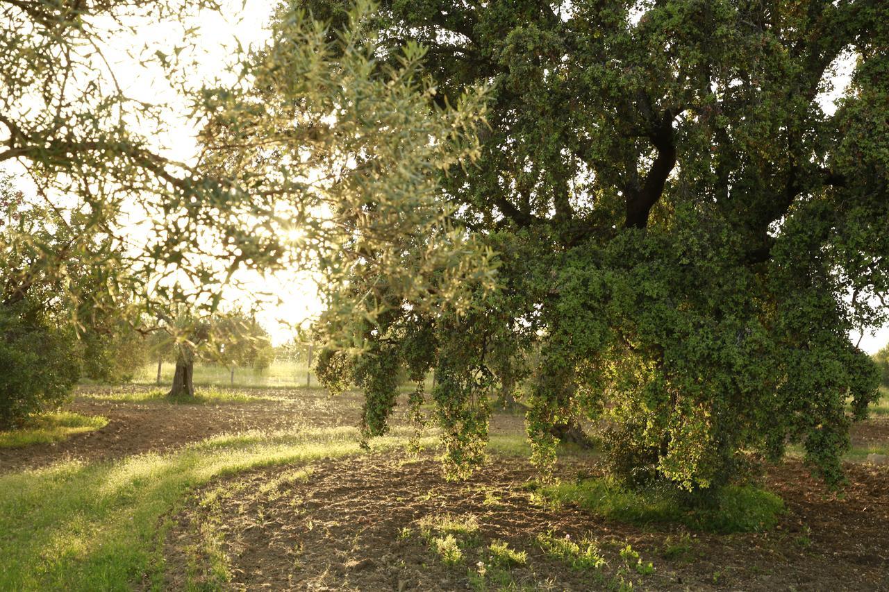 טאווירה Fazenda Nova Country House מראה חיצוני תמונה